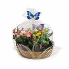 Cellophane Basket Bag, Clear, 20" x 30", 100 Pack-Ideal for use as liners, gift baskets and more
