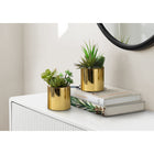 Monarch Specialties - Plante Artificielle - 7 po H - Succulent - En Pot - Ensemble De 2 - Plantes Vertes - Pots Dorés Brillants-Fausses plantes succulentes réalistes qui ne nécessitent ni entretien, ni arrosage, ni conditions d'éclairage particulières, à placer partout où l'on a besoin d'un peu de verdure