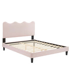 Modway Current Performance Velvet Full Platform Bed with Black Wood Legs - Pink-Full Platform Bed
