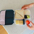 b.box - Lunchbox - Indigo Rose-10