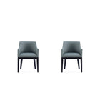 Manhattan Comfort - Lot de 2 fauteuils de salle à manger modernes Gansevoort 22,5 po en similicuir - Étain-Fauteuil de salle à manger moderne pour salle à manger et usage de travail lot de 2