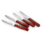 Tramontina Porterhouse Steak Knife Set - Rounded - 4 Piece Set-3 solid rivets