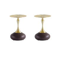 Manhattan Comfort Patchin 15.75" Modern End Table - Brown and Gold - Set of 2-Modern End Table - Set of 2 for Living Room Use