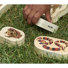 TickiT - Blocs en bois pour reptiles et amphibiens - Lot de 15-Niveaux Prématernelle