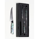Minimal 4-Pieces Damascus TransShell Steak Knife Set, Service for 4-Unique elegant handles with ergonomic design