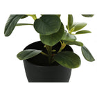 Monarch Specialties - Plante Artificielle - 14 po H - Ficus - Mis En Pot - Ensemble De 2 - Feuilles Vertes - Pots Noirs-Aucun assemblage n'est requis et une garantie limitée de 5 ans contre tout défaut est offerte pour un accent décoratif durable et respectueux de l'environnement