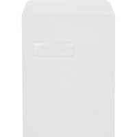 JAM Paper Open End Window Envelopes w/ Peel & Seal - White - 9" x 12" - 250 Pack-Open-end window envelopes: these large envelopes are perfect for sending letters, invoices, statements, and any other professional mail. you’ll save the time and expense of separately addressing individual envelopes, making them perfect for business correspondence. simply position the address to show through the window.