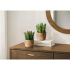 Monarch Specialties - 9367 Succulente Artificielle 7" de Haut - Pots en Ciment Brun - Ensemble de 2-Conçues avec des matériaux respectueux de l'environnement, cet ensemble de plantes artificielles propose une solution décorative durable et élégante