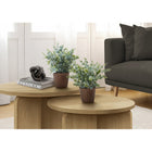 Monarch Specialties - Plante Artificielle - 13 po H - Herbe D'Eucalyptus - En Pot - Ensemble De 2 - Feuilles Vertes - Pots Bruns-Ces fausses plantes décoratives, placées dans des pots en ciment brun de 5 pouces, ont des feuilles vertes panachées ajustables qui peuvent être arrangées pour un aspect naturel complet