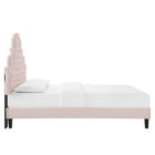 Modway Gwyneth Tufté Performance Velours Lit Plateforme Queen Avec Pieds en Bois Noir - Rose-Pieds en bois noir avec capuchons sans marque