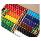 Crayola Coloured Pencil Class Pack - 240 Pencils-8