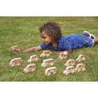 TickiT - Véhicules en bois naturel - Ensemble de 12-Adapté Aux Enfants - Ces petites voitures robustes sont idéales pour développer la motricité fine. Les petites mains peuvent utiliser les trous pour les saisir et les faire rouler facilement. Elles sont idéales pour jouer à l'intérieur ou à l'extérieur !