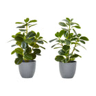 Monarch Specialties 14" Artificial Indoor Ficus - Table - Grey Pots - Set of 2-Standing at 14" tall add this set of 2 artificial Ficus Elastica potted plants to bring some greenery to your indoor space