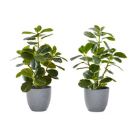 Monarch Specialties 14" Artificial Indoor Ficus - Table - Grey Pots - Set of 2-Standing at 14" tall add this set of 2 artificial Ficus Elastica potted plants to bring some greenery to your indoor space