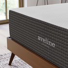 Modway Aveline 14" Memory Foam King Mattress-Stretch Knit Zipper Removable Cover