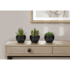 Monarch Specialties - Plante Artificielle - 6 po H - Succulent - Mis En Pot - Ensemble De 3 - Plantes Vertes - Pots Noirs-Chaque plante artificielle est empotée dans un pot en mélamine noir neutre, recouvert de sable. Elle est parfaite pour être placée à l'intérieur sur des tables, des étagères ou d'autres surfaces plates