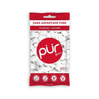 PUR Gum Cinnamon Bag - 77 g-Cinnamon Gum