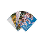 Jam Paper Sympathy Cards, Nature Get Well Assortment - 10 Pack-Design: Nature Get Well Assortment