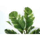 Monarch Specialties 27" Artificial Indoor Rubber Tree - Table - Black Pot-5 year limited warranty against manufacturer's defects