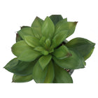 Monarch Specialties - Plante Artificielle - 6 po H - Succulent - En Pot - Ensemble De 2 - Feuilles Vertes - Pots En Ciment Gris-6