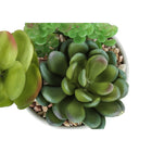 Monarch Specialties - Plante Artificielle - 7 po H - Succulent - En Pot - Ensemble De 2 - Plantes Vertes - Pots Céramiques Blancs-7