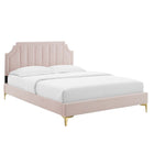 Modway Sienna Performance Velvet Full Platform Bed with Gold Metal Legs - Pink-Stain-Resistant Performance Velvet