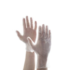 Aurelia Delight Vinyl Powder-Free Examination Gloves - Clear - Medium - 100 Pack-Vinyl Powder-Free