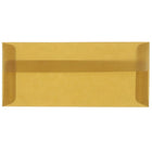 JAM Paper Enveloppes format livret en papier vélin translucide avec fermeture gommée, 4 1/8 x 9 1/2 po, brun terre, 100/pqt-Brun terre