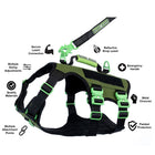 Healthy Harness - Harnais Absolute Adventure - Argent - L-Plusieurs points d'attache pour la laisse : un mousqueton à l'avant pour le dressage, un mousqueton à l'arrière pour les promenades occasionnelles et une poignée robuste pour les urgences
