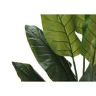 Monarch Specialties 59" Artificial Indoor Strelitzia Tree - Floor - Black Pot-5 year limited warranty against manufacturer's defects