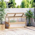 Outsunny - Serre châssis froid en bois-Les panneaux transparents en polycarbonate avec une bonne transmission de la lumière permettent aux plantes d’absorber pleinement la lumière du soleil  
