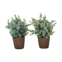 Monarch Specialties - Plante Artificielle - 13 po H - Herbe D'Eucalyptus - En Pot - Ensemble De 2 - Feuilles Vertes - Pots Bruns-Ajoutez une touche de verdure à votre maison ou à votre bureau avec ce lot de 2 plantes artificielles d'eucalyptus d'intérieur seulement, d'une hauteur maximale de 13 pouces