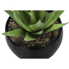 Monarch Specialties - Plante Artificielle - 6 po H - Succulent - Mis En Pot - Ensemble De 3 - Plantes Vertes - Pots Noirs-6