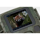 Technaxx - Mini Nature Wild Cam TX-117 FullHD 1080p - Camoflauge-Classe de protection IP56 (résistant à la poussière et à l’eau d’éclaboussure lourde)