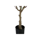 Monarch Specialties - Plante Artificielle - 46 po H - Arbre D'Eucalyptus - Mis En Pot - Feuilles Vertes - Pot Noir-Aucun montage nécessaire: dimensions du produit: 24 po L x 22 po L x 46 po H