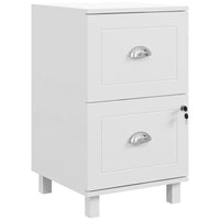 HOMCOM 2-Drawer Letter/A4 Filing Cabinet Lockable with Hanging Bars - White-2 drawers with adjustable bars for A4 and letter files
