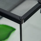 PawHut - Terrarium en verre pour reptiles - enceinte pour araignée sauteuse avec thermomètre-La base inférieure empêche les fuites d'eau et ne nécessite aucune installation pour une utilisation facile 