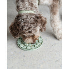 Dexypaws Sage Green Circle Enrichment Snuffle Mat-5