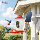 PawHut - Mangeoire intelligente pour colibris à énergie solaire avec caméra, vidéo en direct 2K HD-Panneau solaire de 3W réglable, offrant jusqu’à 5 mois d’alimentation continue 