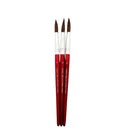 DBLG Imports - Pinceau rond en poil de chameau taille 12, Paquet de 12-Idéal pour la peinture à l'aquarelle