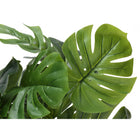 Monarch Specialties - Plante Artificielle - 24 po H - Monstera - Mis En Pot - Touche Réelle - Feuilles Vertes - Pot Blanc-Facile à mettre en place sans assemblage, il suffit de disposer les feuilles à votre guise pour donner une touche de nature à votre maison ou à votre bureau : dimensions du produit : 20 po L x 20 po D x 23,5 po H : pot : 5,5 po L x 5,5 po L x 5 po H