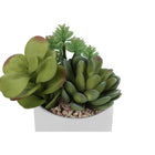 Monarch Specialties - Plante Artificielle - 7 po H - Succulent - En Pot - Ensemble De 2 - Plantes Vertes - Pots Céramiques Blancs-Bénéficiant d'une garantie limitée de 5 ans contre les défauts de fabrication, ces plantes artificielles d'aspect réel peuvent être placées sur une table, une étagère ou sur le côté d'un bureau pour ajouter une touche de nature à votre maison ou à votre bureau