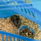 PawHut 18.5" Hamster Cage with Tube System & Exercise Wheel - Blue-Colour: Blue