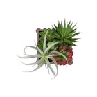 Monarch Specialties 9371 10" Tall Artificial Succulents - Brown Wooden Pots - Set of 2-Each artificial succulent is housed in a modern brown wooden pot, offering a natural texture that enhances its realistic look