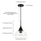 Hudson&Canal - Suspension Magnolia de 27,3 cm de large avec abat-jour en verre - Bronze noirci/grainé-Dimensions du produit : 10" L x 10" l x 8" H