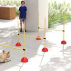 PawHut Dog Agility Training Obstacle Course 4-Piece Set-Scaled poles for easy height adjustment 
