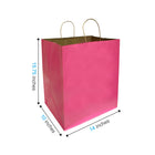 Reliabag - Sac En Papier Avec poignees Torsadees, Rose, 14 po L X 10 po P X 15,75 po H, Paquet De 150-Poignees renforcees en ficelle torsadee