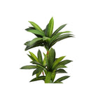 Monarch Specialties 51" Artificial Indoor Dracaena Tree - Floor - Black Pot-6