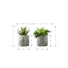 Monarch Specialties 6" Artificial Indoor Succulent - Table - Grey Cement Pots - Set of 2-These easy-care faux table plants are made from the highest quality materials and require no maintenance or watering, for a sustainable, environmentally friendly decorative accents that will last a lifetime