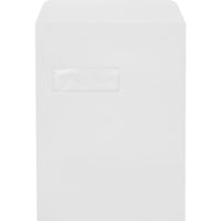 JAM Paper Open-End Window Envelopes w/ Peel & Seal - White - 9" x 12" - 50 Pack-Open-end window envelopes: these large envelopes are perfect for sending letters, invoices, statements, and any other professional mail. you’ll save the time and expense of separately addressing individual envelopes, making them perfect for business correspondence. simply position the address to show through the window.